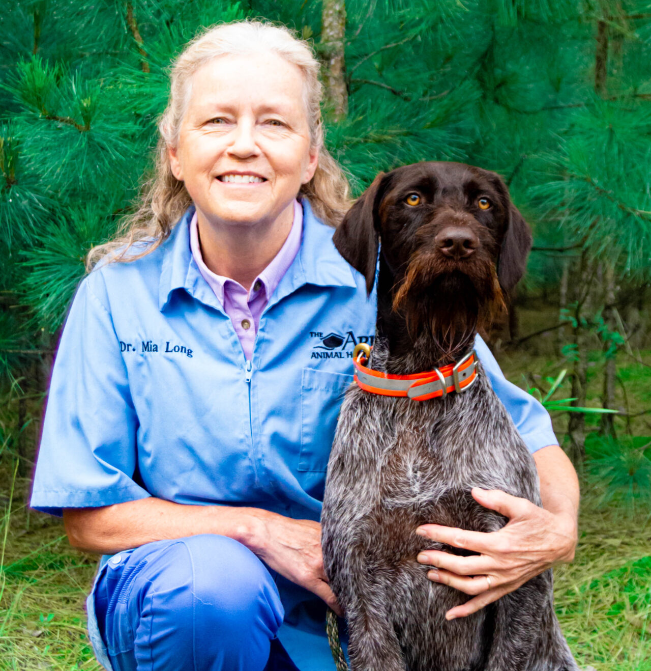 Veterinarian In Park Rapids, MN 56470 | Ark Animal Hospital