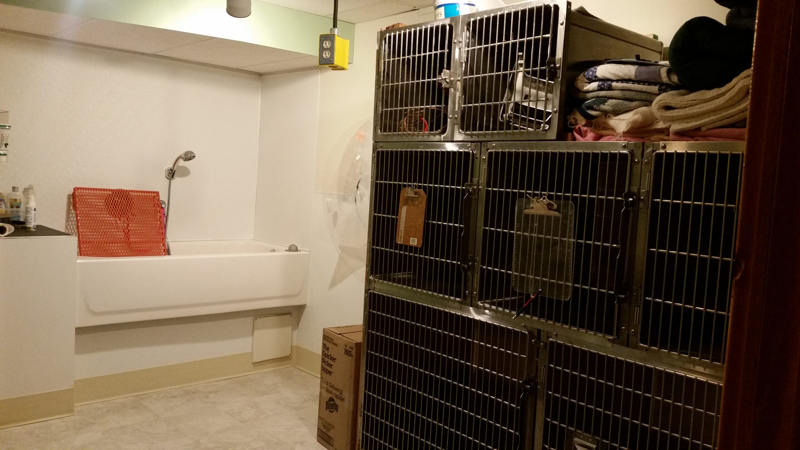 Ark Animal Hospital Dog kennel Room